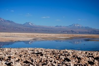 Laguna Chaxa, Salar de Atacama, Chile