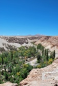 Quebrada de Jerez, Atacama, Chile.