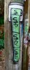 US dollar graffiti, Valparaiso