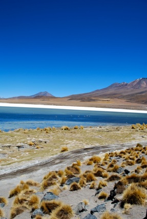 Laguna Hediona, Bolivia