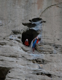 Nesting macaws, Bolivian jungle