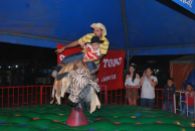 Some people went for the safer option on rodeo night... San Ignacio.