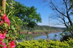 The Rio Paraná was just below our campsite in Puerto Iguazu, Argentina
