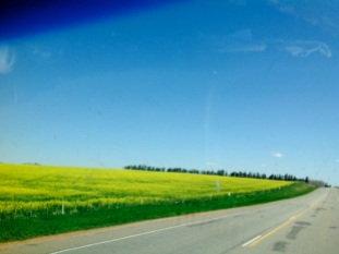Driving through Uruguay was really pretty and so neat and tidy!