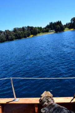 Long day for a doggie - sailing on Lago Nahuel Huapi, Argentina