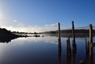 Early morning on the river at Chepu, Chiloé