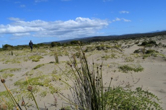 Dunes, Chepu, Chiloé