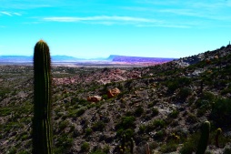 View from Cerro Morado