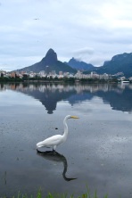 Rodrigo de Freitas lagoon, Rio