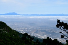 View over Rio